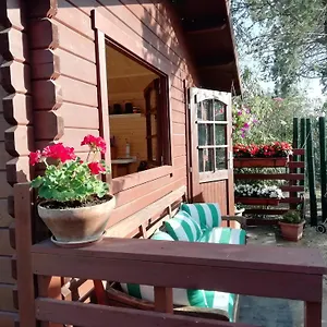 appia-antica-cottage.it-romehotels.com/